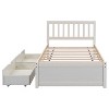 Twin Size Wooden Platform Bed With 2 Drawers/Trundle, White/Gray/Walnut, 4W -ModernLuxe - 4 of 4