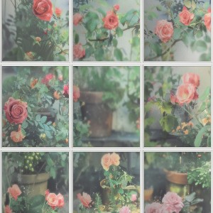 Veer Decor Rose Garden Window Trompe L'Oeil Wallpaper - 1 of 1
