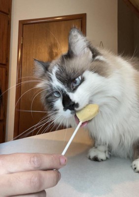 Bonkers Purrpops Chicky Licks Chicken Flavor Lollipop Freeze-dried Cat ...