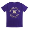 NCAA Washington Huskies Toddler Boys' 2pk T-Shirt - 3 of 3