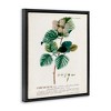 Stupell Industries Scientific Botanical Plant Seeds Floating Frame Canvas Art - 2 of 4