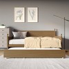 ChaletPosh Twin Size Wooden Daybed with Trundle - 3 of 4