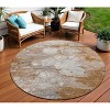Terra Cotta Gray And Silver Abstract Washable Indoor Outdoor Area Rug - 2 of 4