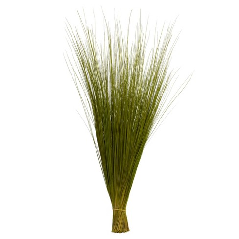 Vickerman 46 Dried Aspen Gold Pampas Grass, 6 Pieces