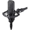 Audio-Technica AT4033a Cardioid Condenser Microphone - 2 of 4