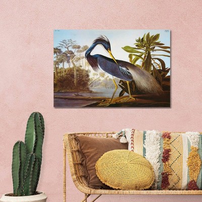 Louisiana Heron Fine-Art Giclée Canvas Wall Art