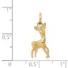 Black Bow Jewelry 14k Yellow Gold Tiny Deer Charm or Pendant, 8mm (5/16 inch) - 4 of 4