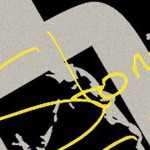 stone cold steve austin