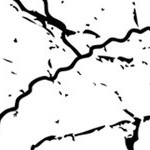 stone cold steve austin