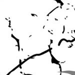 stone cold steve austin