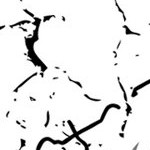 stone cold steve austin