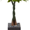Nearly Natural 5ft Artificial Money Tree in Black Square Planter: Faux Plant Decor, No Assembly Required - 3 of 3