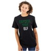 Christmas Express Your Elf Xmas Graphic T Shirt Men or Women Brisco Brands - 3 of 4