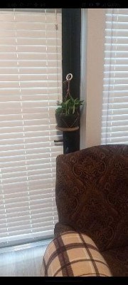 Guest review image 5 of 6, zoom in