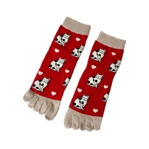 Kitty Cat Pattern Toe Socks from the Sock Panda (Women's Sizes, Adult Medium) - 1 of 3