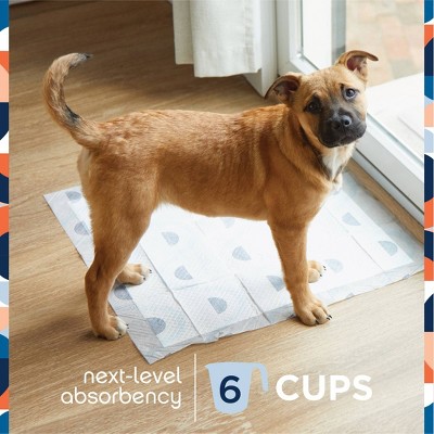 Large Blue and White Smart Prints Dog Training Pads