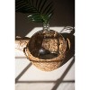 Vase, Water Hyacinth Wrapped Glass Wine Damigiana 22"H - Brown Woven Decorative Accent By Kalalou - 3 of 4