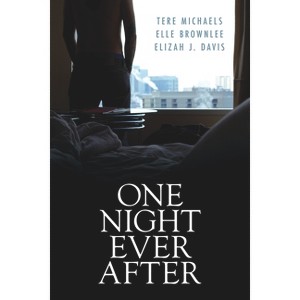 One Night Ever After - by  Tere Michaels & Elle Brownlee & Elizah J Davis (Paperback) - 1 of 1