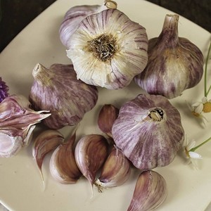 Van Zyverden 3ct Cloves Garlic Standard Purple Strip Chesnok Red - 1 of 4