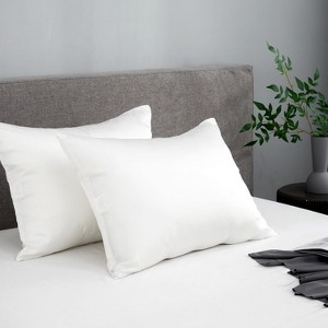 APSMILE Hair and Skin Friendly 100% Mulberry Silk Pillowcases Set of 2 - 1 of 4
