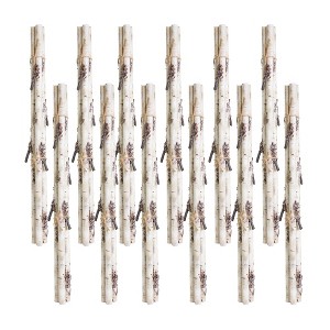 Birch Branch Bundle with Snowy Accents for Holiday Decor Set of 12 26.75 Inch by Melrose - 1 of 3