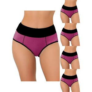 Allegra K Women's Plus Size High Waist Tummy Control Color-Block 5 Packs Available Briefs - 1 of 4