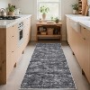 Coucheta Non-Slip Runner Rug,Machine Washable Low Pile Area Rug with Non-Shedding, for Hallway Kitchen Bathroom,Multi-Color & Size - 2 of 4