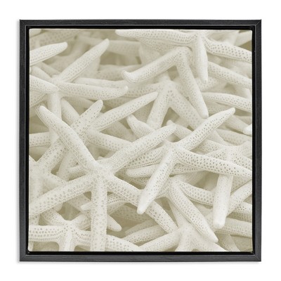 Stupell Industries Nautical White Starfish Photography, 18" x 18"