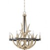 Quoizel Lighting Journey 6 - Light Chandelier in  Earth Black - 4 of 4