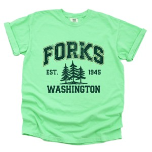 Forks Washington Distressed - Women's Garment Dyed Graphic T-Shirt - 1 of 4