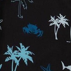 light blue beach on black