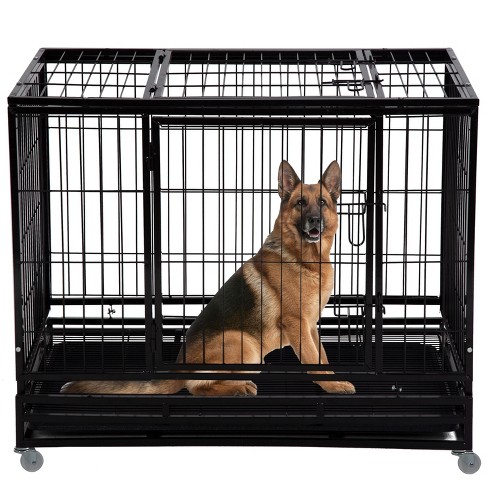 42 shops in dog cage