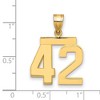 Black Bow Jewelry 14k Yellow Gold, Athletic Collection Medium Polished Number 42 Pendant - 2 of 3