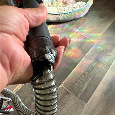 Guest review image 1 of 1, zoom in