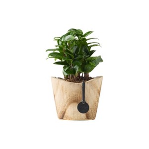 Air Jordan 4 AJ4 陶製 置物 盆栽鉢 植木鉢 17*7*10cm Air Jordan 4 Retro Inspired Plant Vase – CandlesWithAttitude