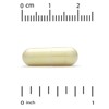 Lake Avenue Nutrition Fisetin, 100 mg, 90 Veggie Capsules - 3 of 4