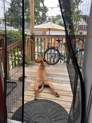 Guest review image 1 of 1, zoom in