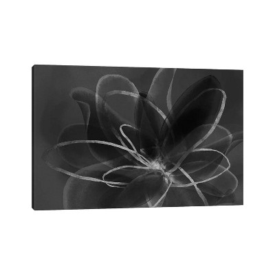 iCanvas Transparent Beauty III Inverted by Eva Watts Canvas Print Wall Art