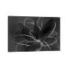 iCanvas Transparent Beauty III Inverted by Eva Watts Canvas Print Wall Art - 2 of 3
