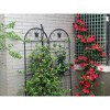 Vynxaria Metal Garden Trellis, 2 Pack Metal Trellis for Climbing Plants, Indoor/Outdoor Plant Trellis for Potted Plants, House Plants - 4 of 4