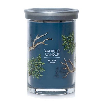 20oz Signature Large Tumbler Candle Ocean Air - Yankee Candle : Target