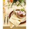 Solino Home Linen Dinner Napkins | Fete - 4 of 4