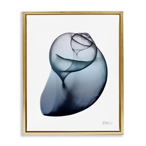 Stupell Industries Contemporary Snail Shell Floating Frame Canvas Art - 1 of 4