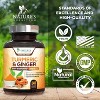 Turmeric Curcumin Supplement 1950mg Organic Turmeric with Ginger, 95% Curcuminoids, BioPerine Black Pepper, 240 Capsules By Nature's Nutrition - 4 of 4