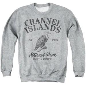 Men's Channel Islands National Park Bald Eagle Icon Crewneck Sweatshirt - 1 of 4