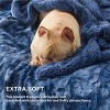 Bedsure- Cloud Soft PV Blanket ,Comfy Plush and Furry Faux Fur - 3 of 4