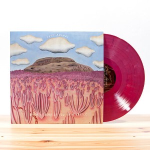 Post Animal - When I Think Of You In A Castle - 1 of 1