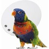 KVP SAF-T-SHIELD E-Collars for Birds 6" Diameter (2" - 2.75") - 2 of 3