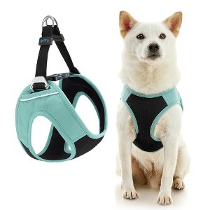 Gooby Escape Free Easy Fit Plus Harness Seattle Blue, X - 1 of 1