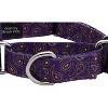 Country Brook Petz­ Martingale with Deluxe Buckle - Paisley Collection - 4 of 4
